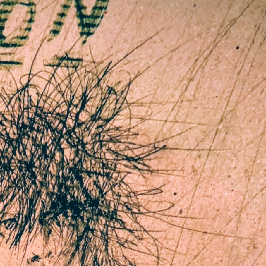 やまの鴉の巣    好きなカバー曲 