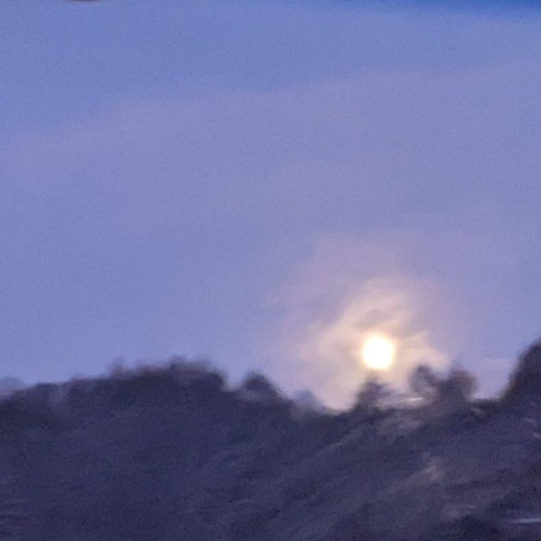 よぼよぼぽえとりぃ