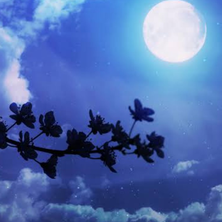 悪口を言われたら✩第2夜✩