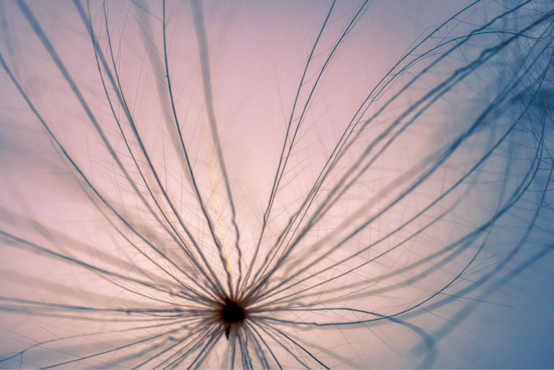 26. 「咲く花を咲かせる、錬金術とは⁈」