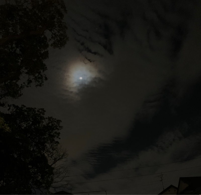 新しい年、目標は？