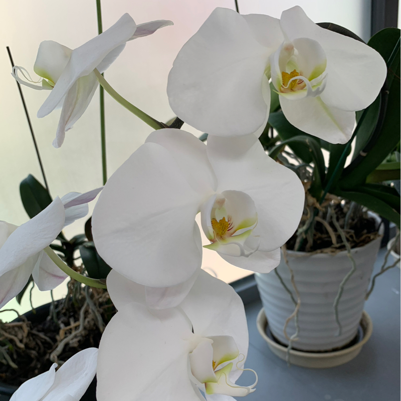 10/13 火曜日