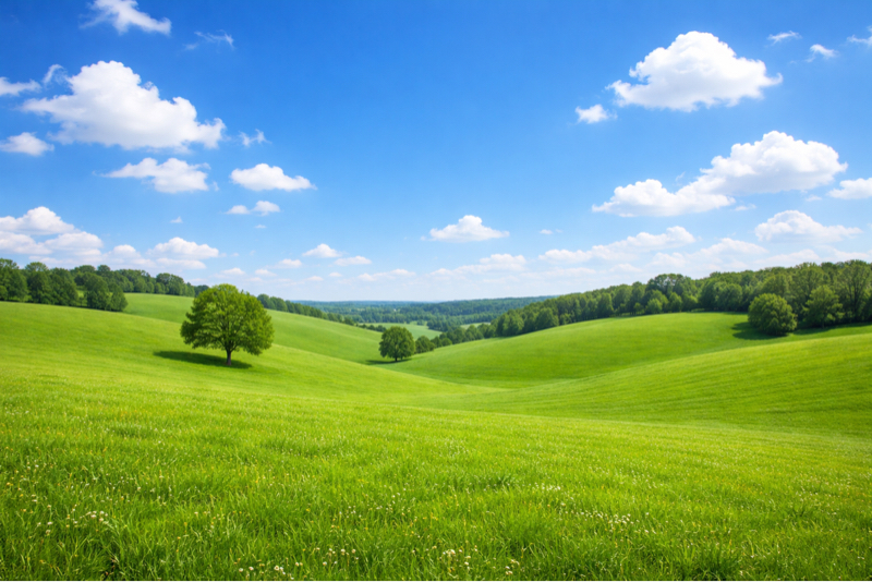 過去作「コスコニーじいさんのヨーグルト」