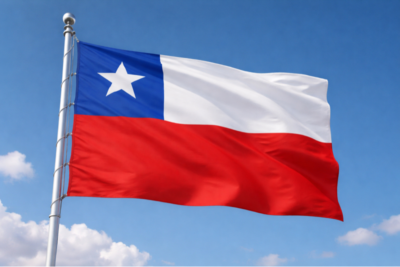 チリ第2の国歌「Venceremos」