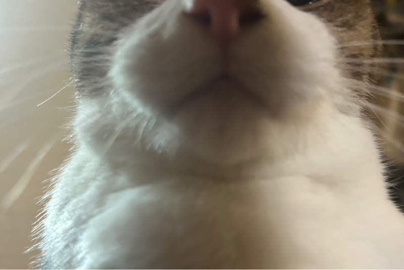 今日やる事整理