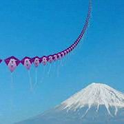 君が見た光、僕が見た希望