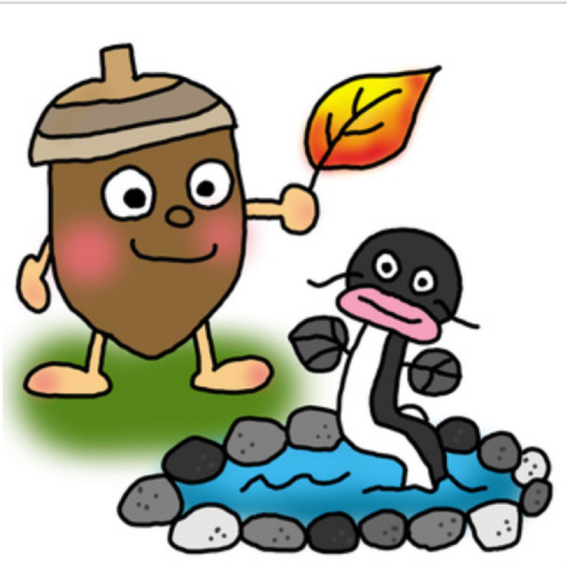 どんぐりころころ予洗い大事🌰♪