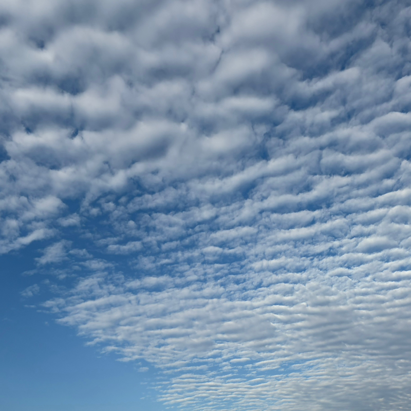 お知らせ3つ🍡