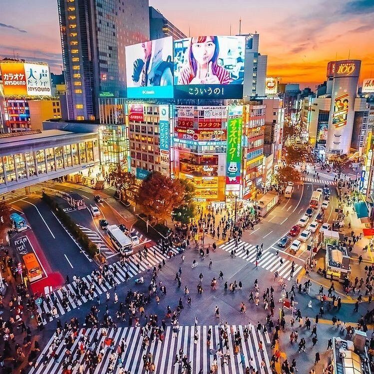 中島みゆきさんて、(世情)