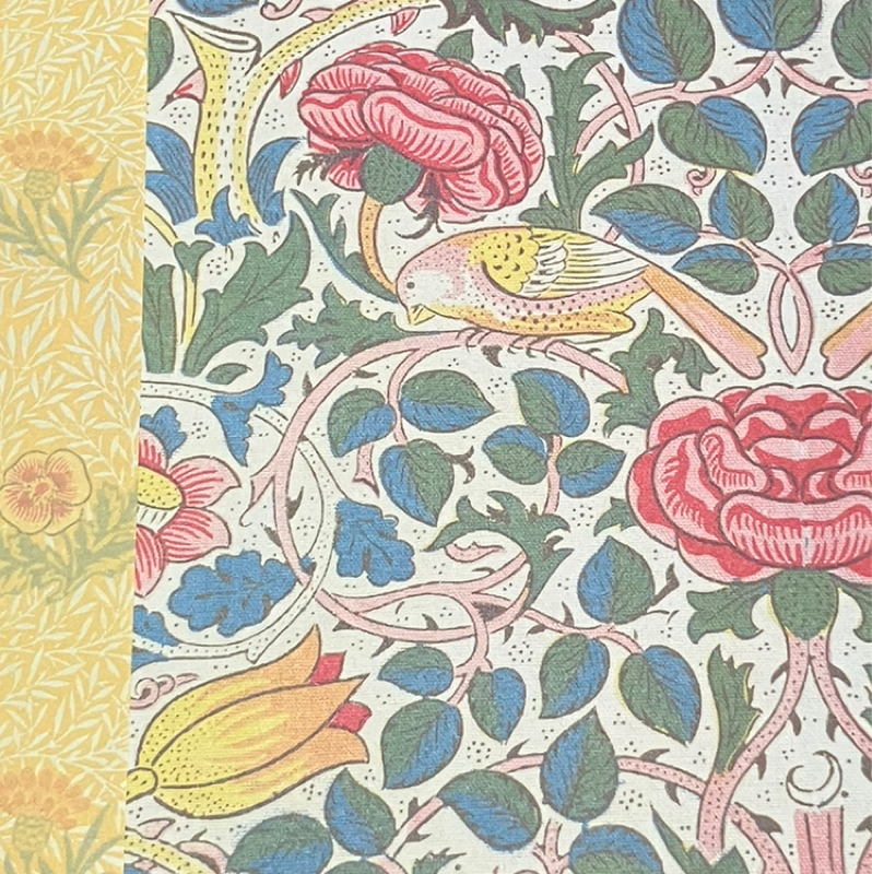 花なのか、虫なのか