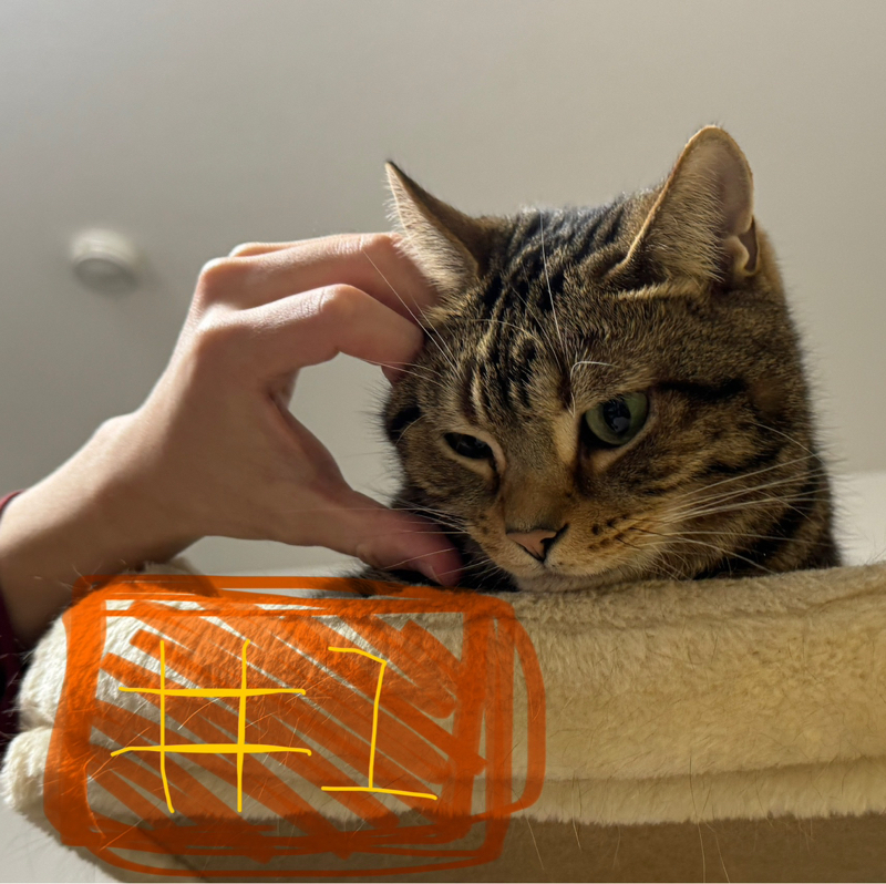 もちもちライブ #1