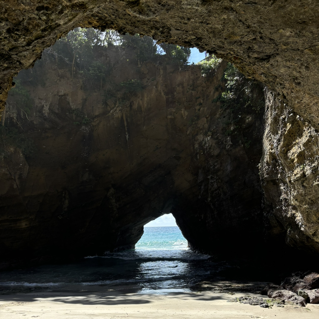 未熟者大学生による勝手に解決#1