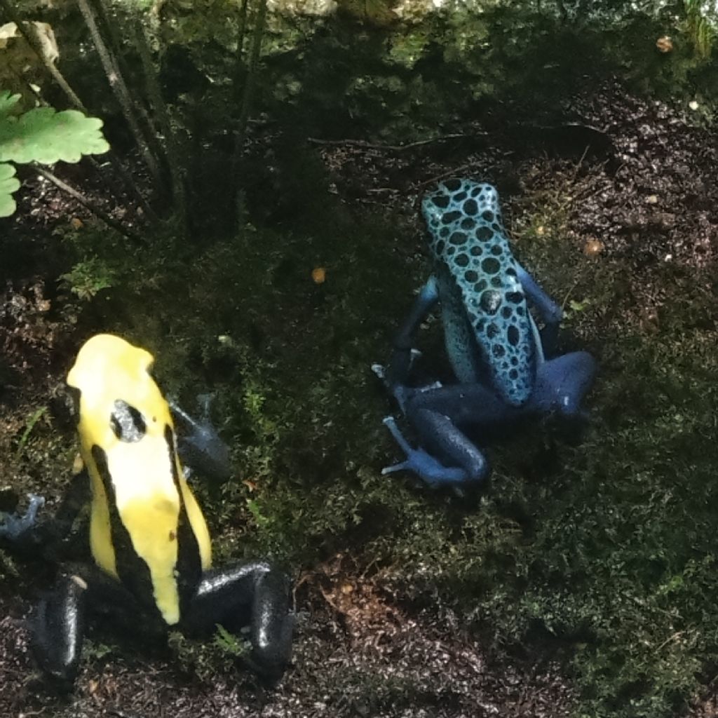 相翔、いや相性