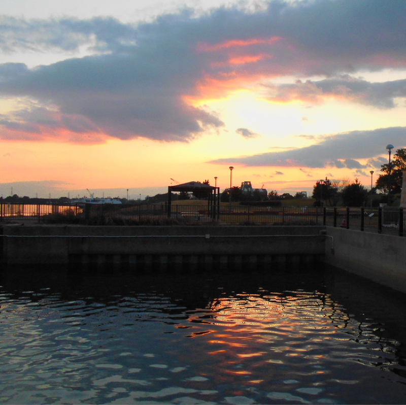 僕のかわい子ちゃん　