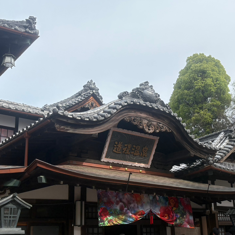 117.帰省2日目|楽しかった