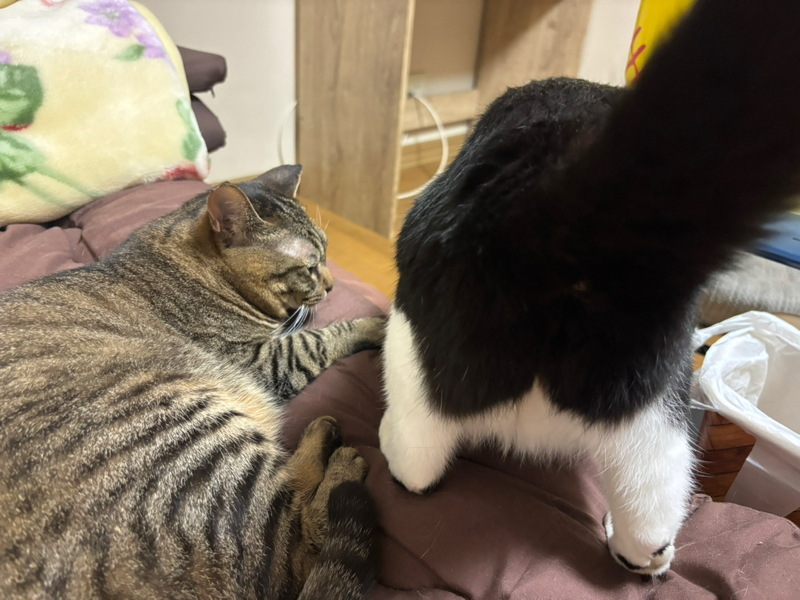 地獄の夏休み3日目