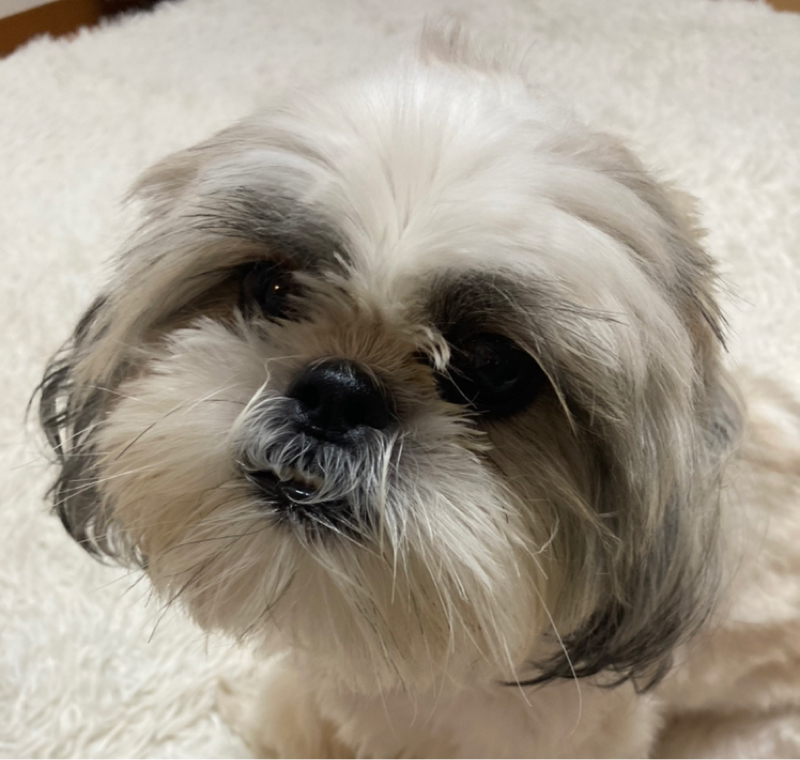 ちょっと聞いてもらってもいいですか