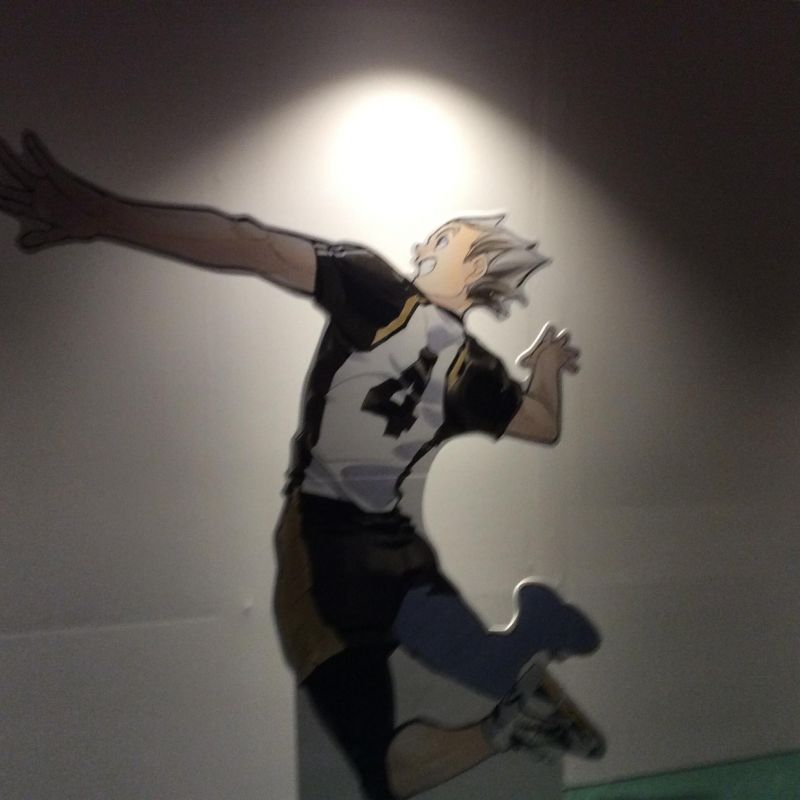 ハイキューファン集まれー