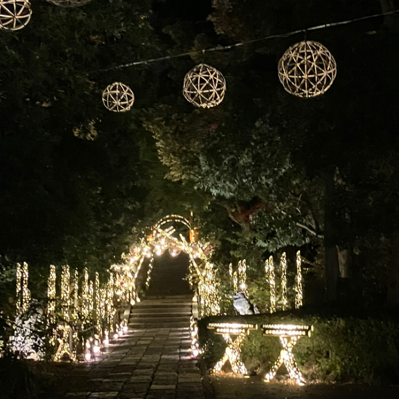 【自分を好きになる】理想の仲間を探すワーク