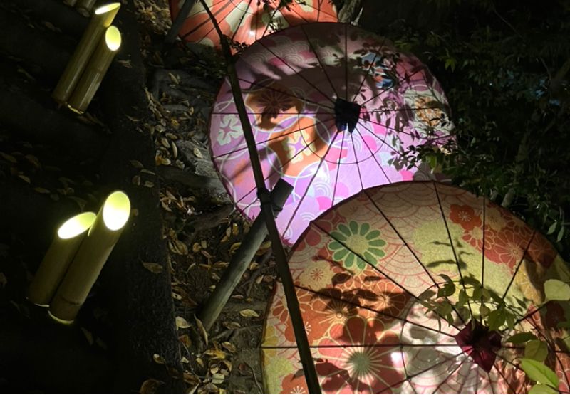 【風の時代】高次元と三次元のこと♬