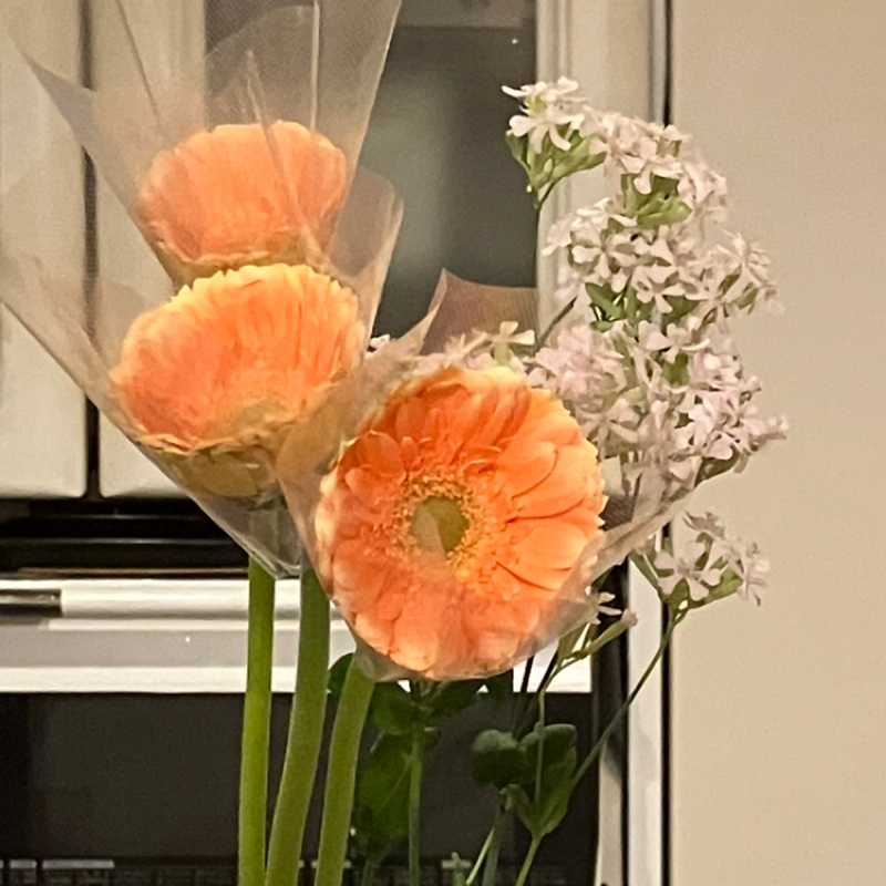 【自立】人のせいに気づいて自らの力で選択する