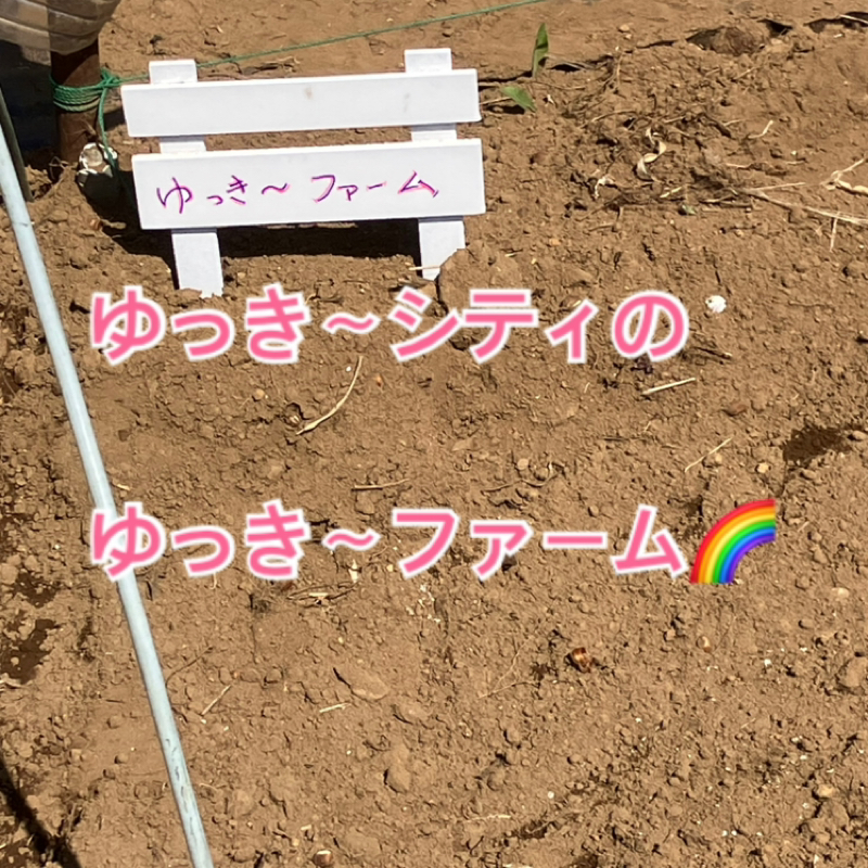 グラウンディングはとても大切だった