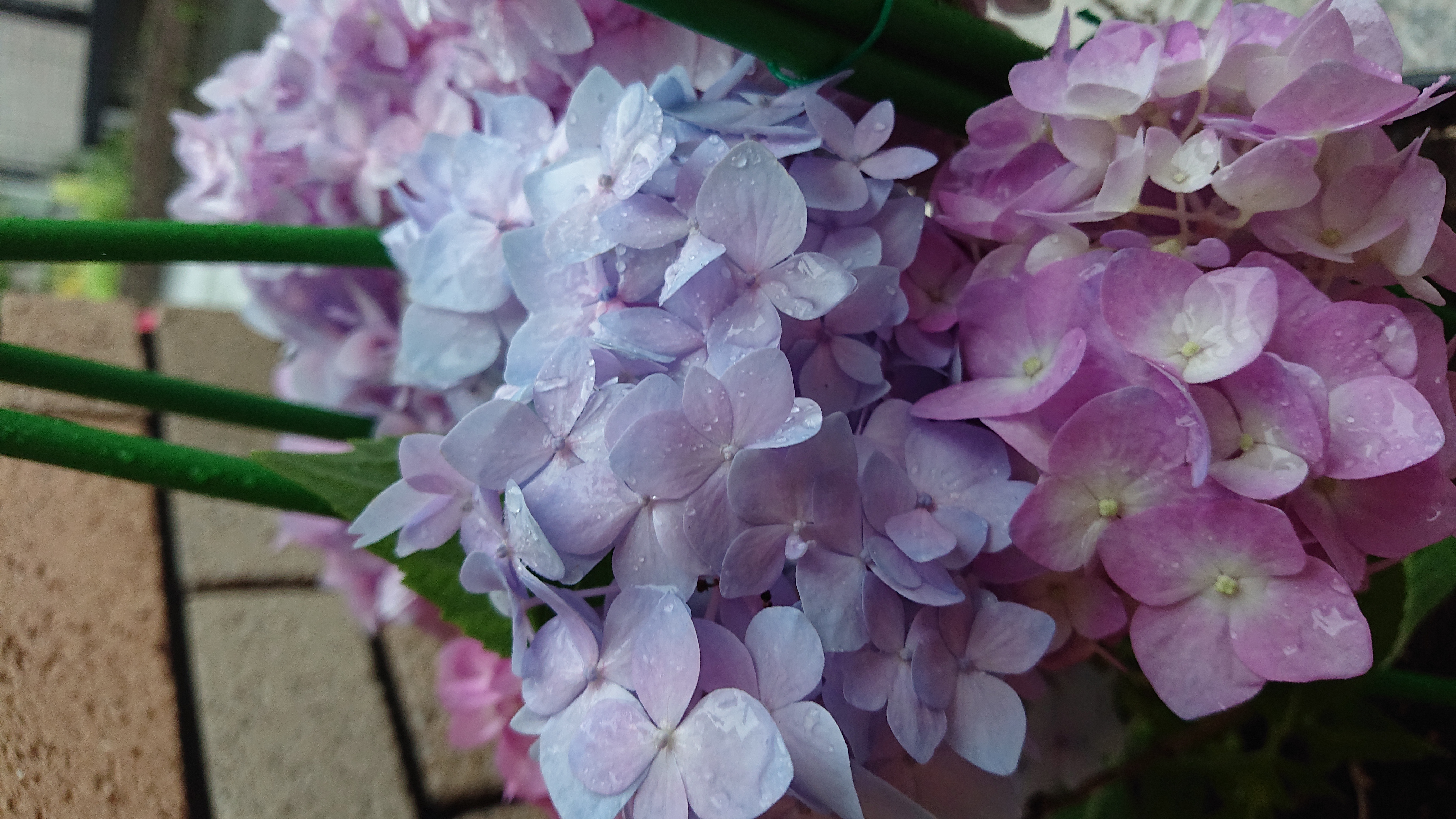 #2 どんな番組にしていきたいか