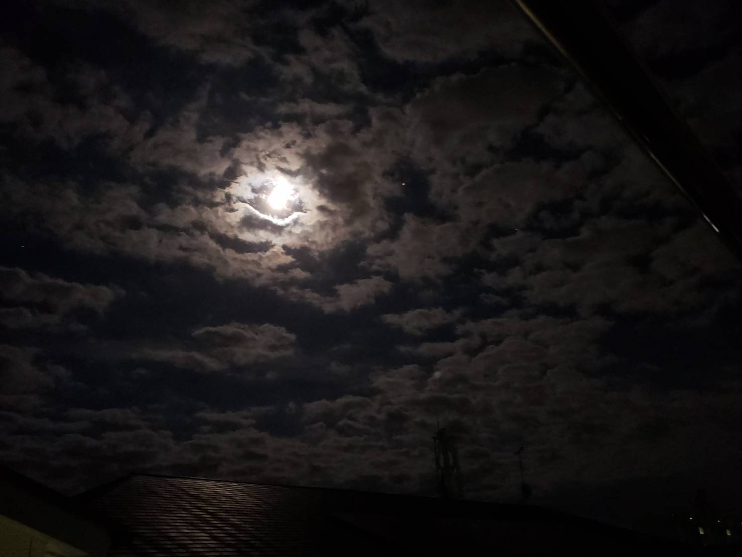 #5 【質問箱】質問にお答えしました