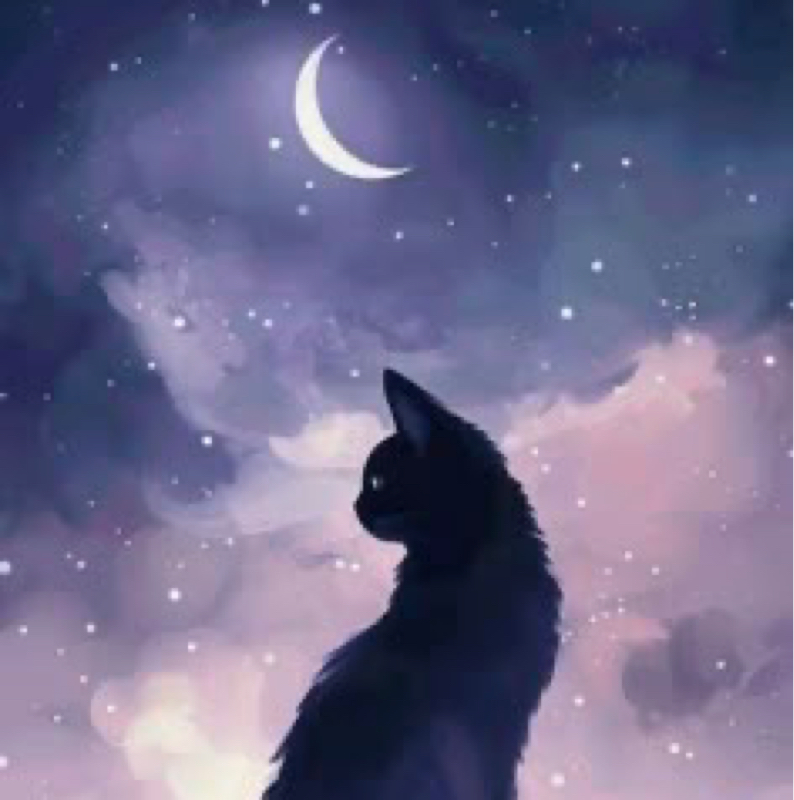 くろねこ's room🐈‍⬛🤍