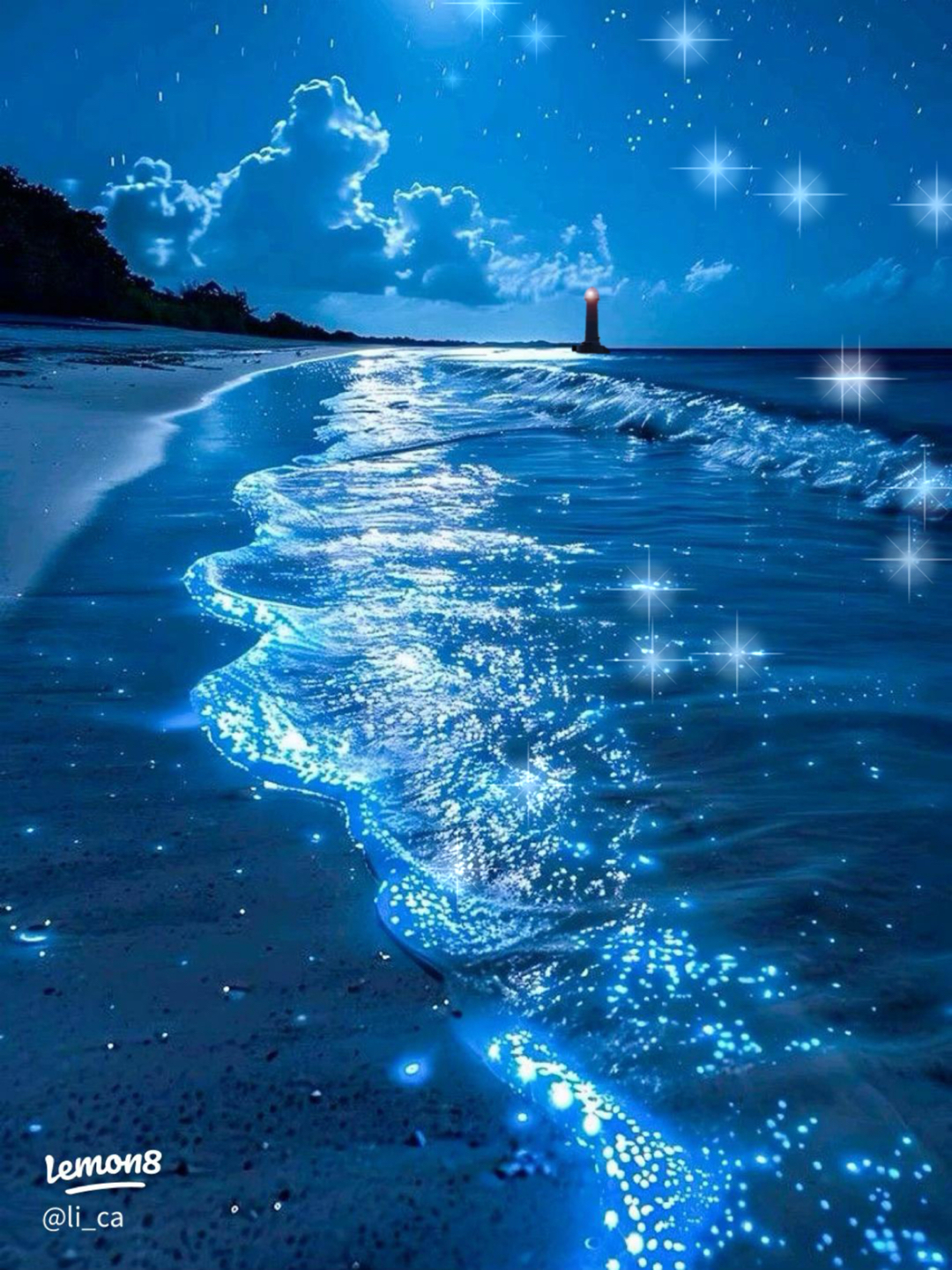 【acapella】星空が映る海　DREAMS COME TRUE