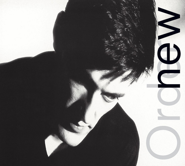 [SynthesizerV2 Cover] New Order / The Perfect Kiss