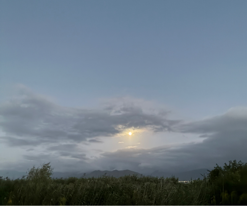 #37 カトリン✨✨今夜は中秋の名月🌕