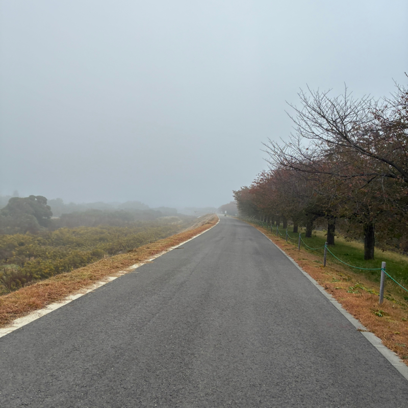 #45 ラジラン✨✨🏃‍♂️🏃‍♂️🏃‍♂️