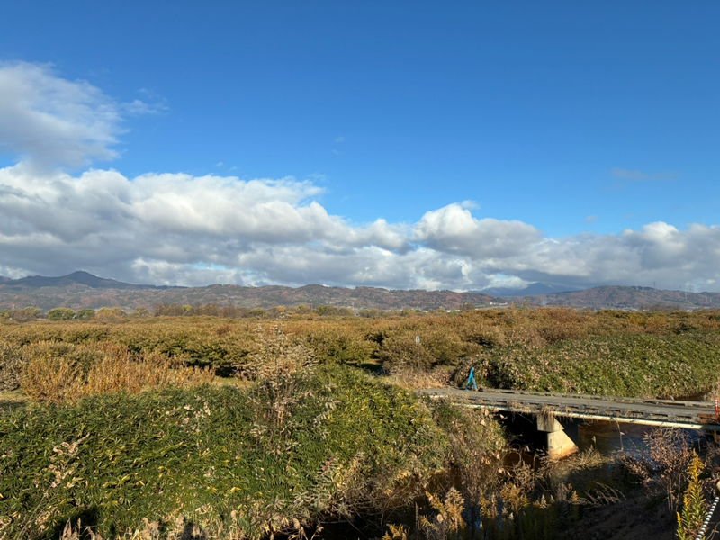 #50 ラジラン✨✨🏃🏃🏃