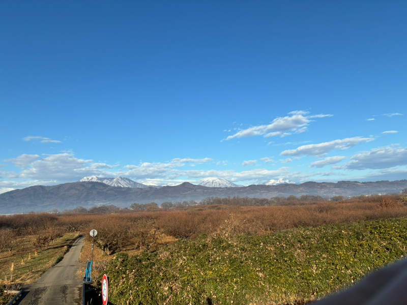 #53 ラジラン✨✨🏃‍♂️🏃‍♂️🏃‍♂️