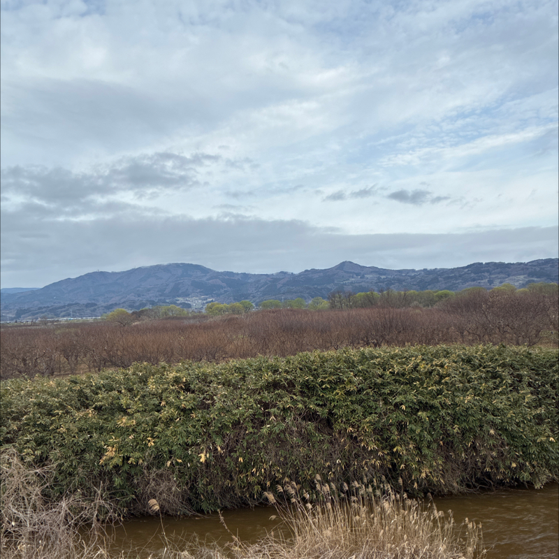 #67 ラジラン🏃‍♂️✨✨🏃‍♂️