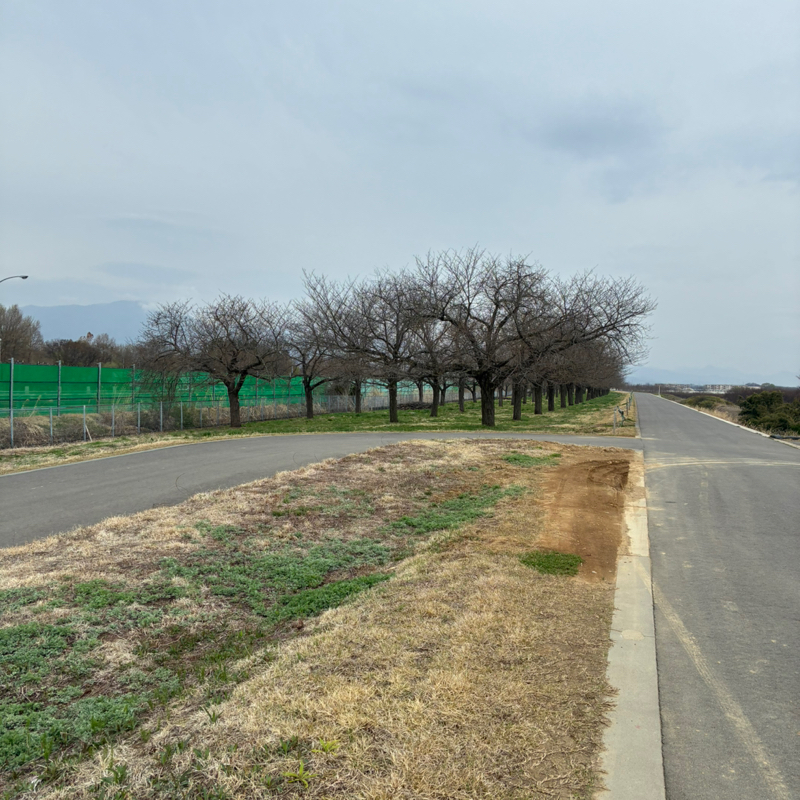 #68 ラジラン🏃‍♂️✨✨🏃‍♂️🏃‍♂️✨✨