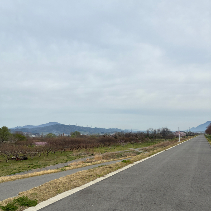 #70 ラジラン🏃‍♂️🏃‍♂️🏃‍♂️✨✨