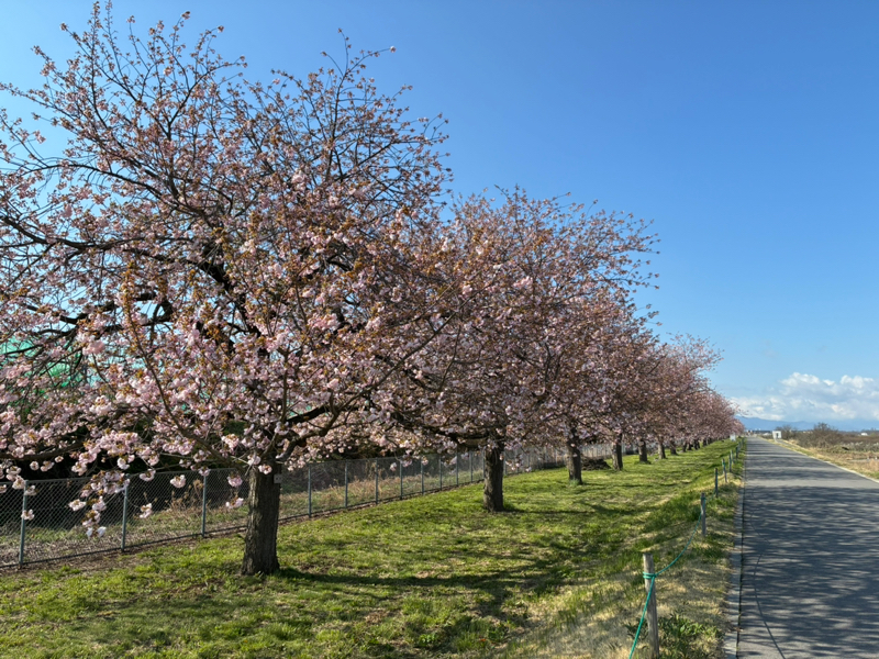 #71 ラジラン🏃‍♂️🏃‍♂️🏃‍♂️✨✨