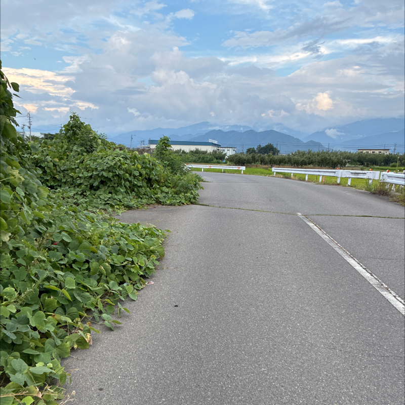 #95 ラジラン🏃‍♂️📻