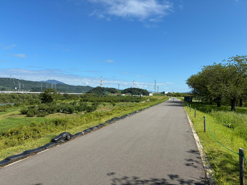 #99 アマ戦ご報告