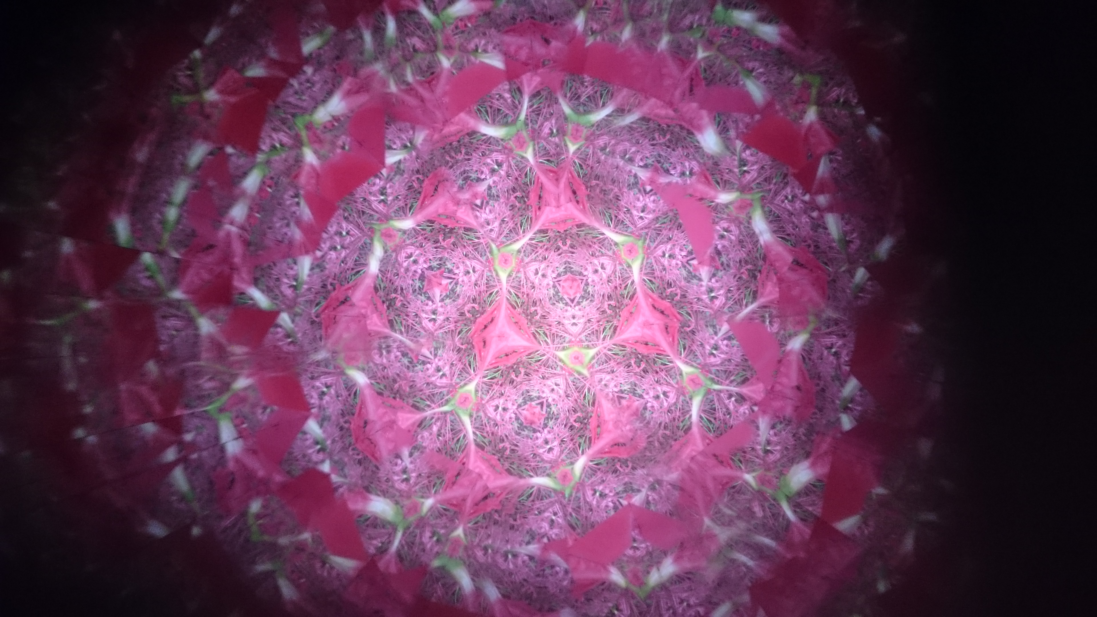 乱歩 人間椅子 1