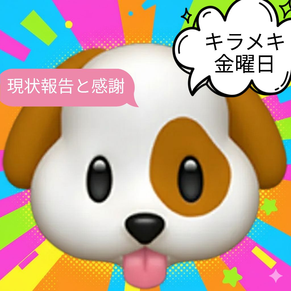 現状報告と皆さんへ感謝(ㅅ´꒳` )