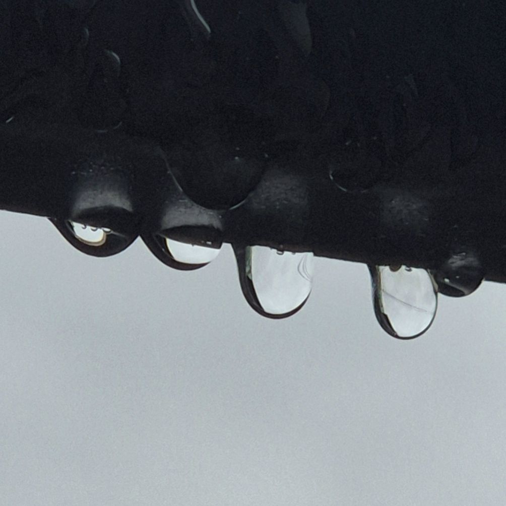 あめのふりーとーく