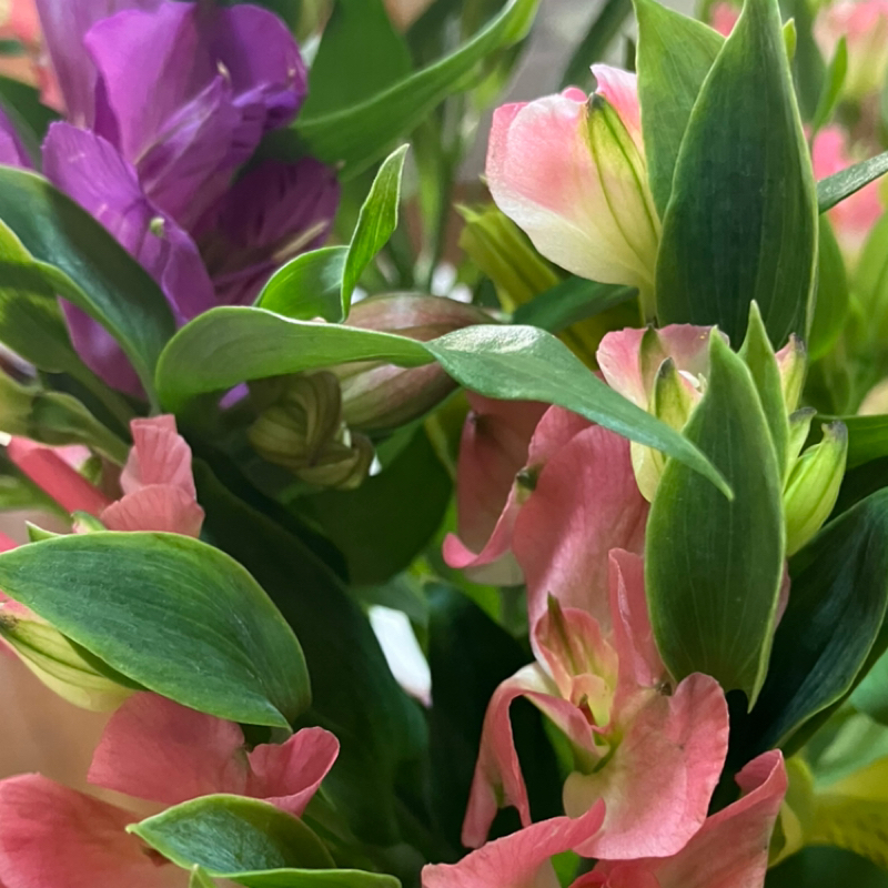 Taylor Swift 「Father Figure 」の歌詞が深い✨