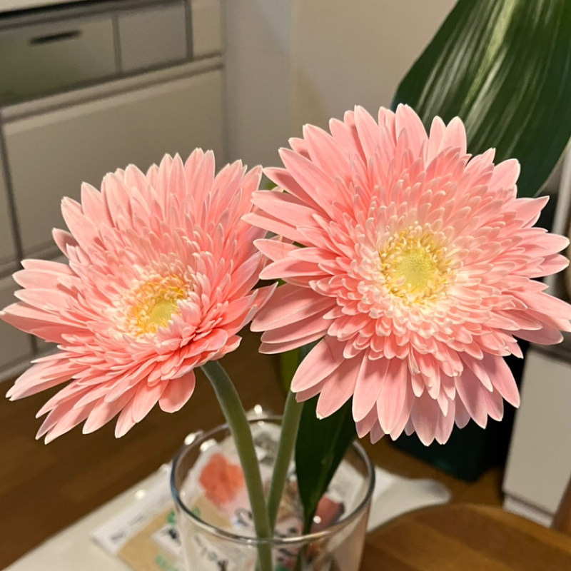 最高の¥3000の使い方