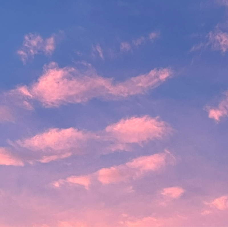 ミスチル「Pink〜奇妙な夢」の勝手な解釈