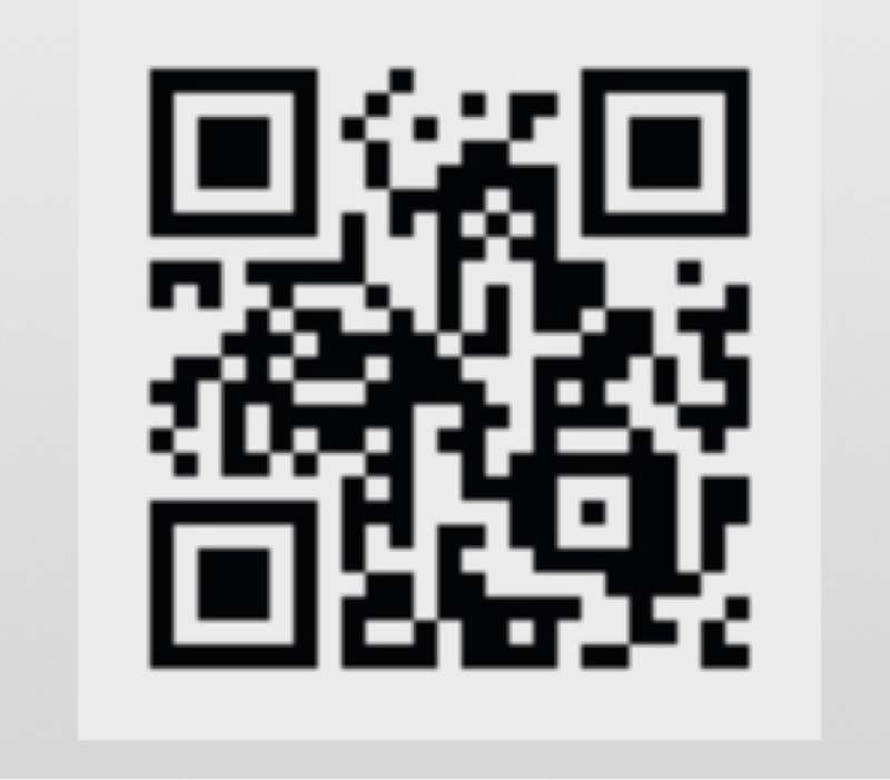 ワサビーズ入手