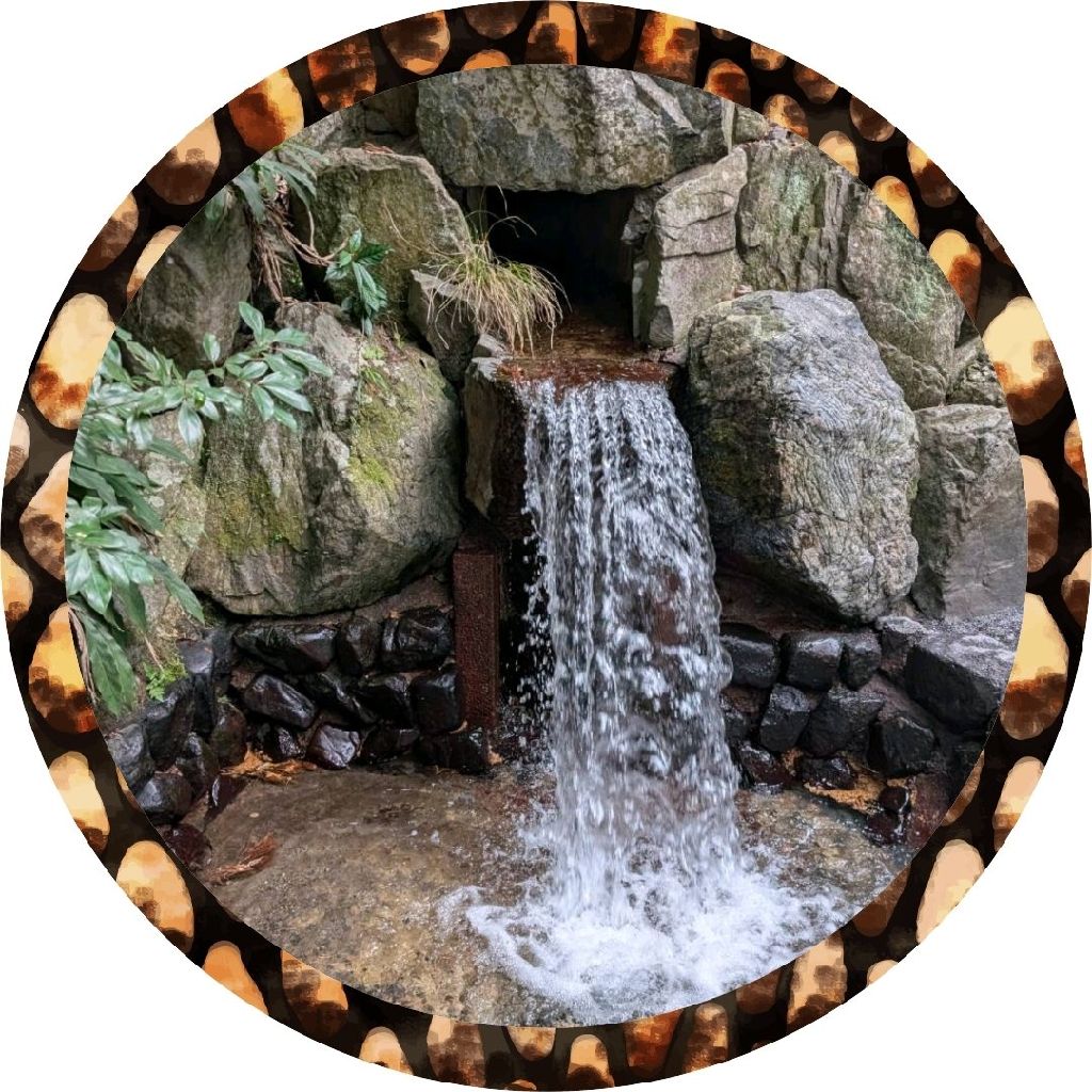 🐒🐒🐒🥃🌹けんちぃ💎🍶🐒🐒🐒