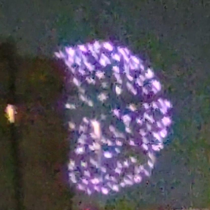 秋の花火大会🎇